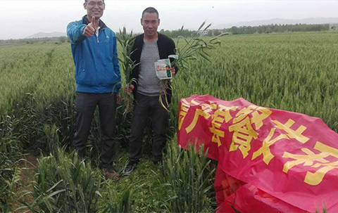 艾利丰PLUS见证8