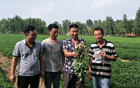 艾利丰PLUS见证9