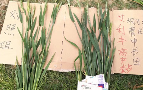 艾利丰PLUS见证4